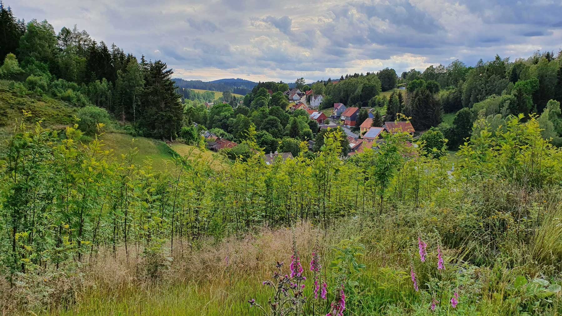 Rund um Tanne bieten verschiedene Aussichtspunkte einen direkten Blick auf den Harzort.