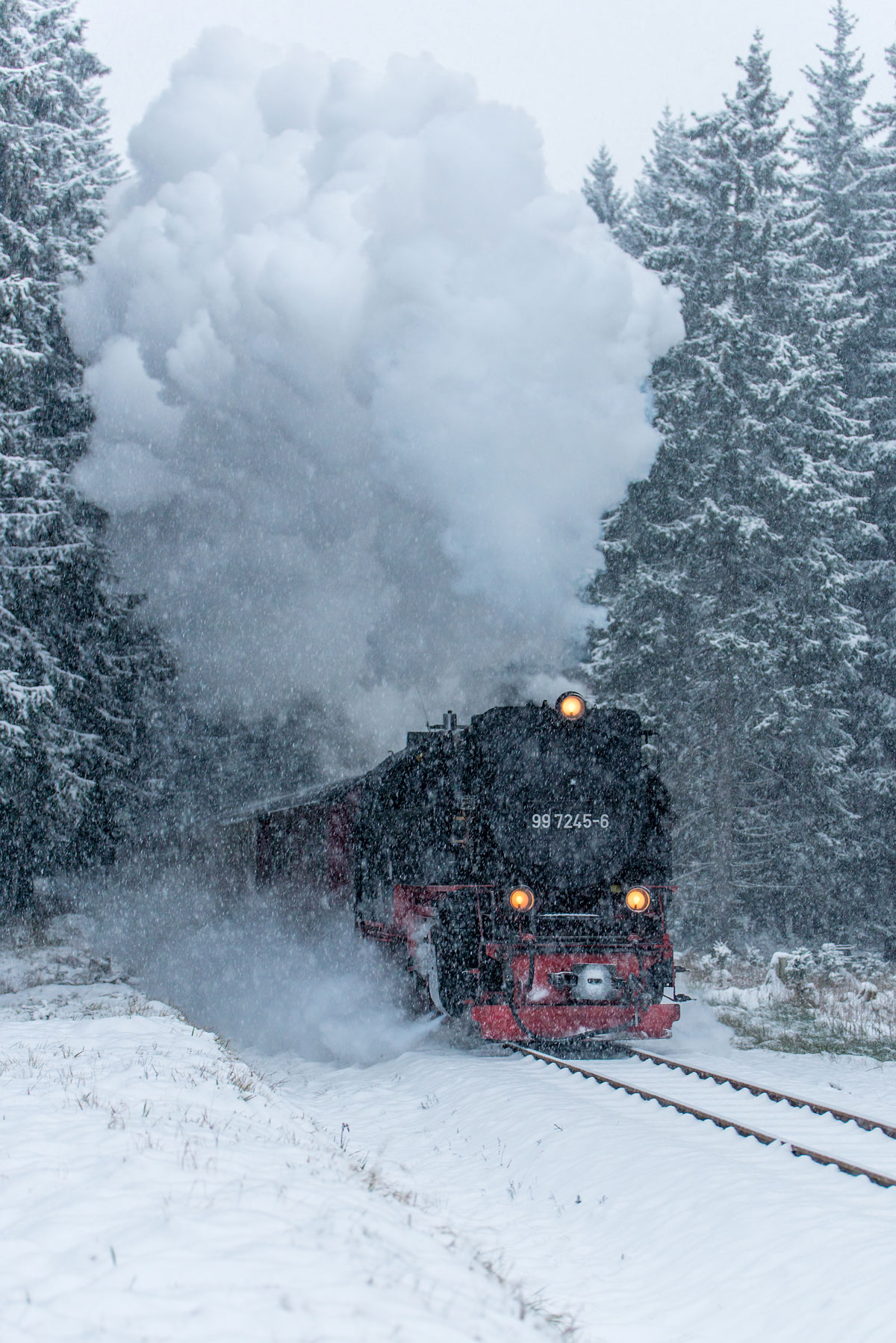 Die winterliche Landschaft kann man im Oberharz bei einer Fahrt mit der Harzer Schmalspurbahn genießen.