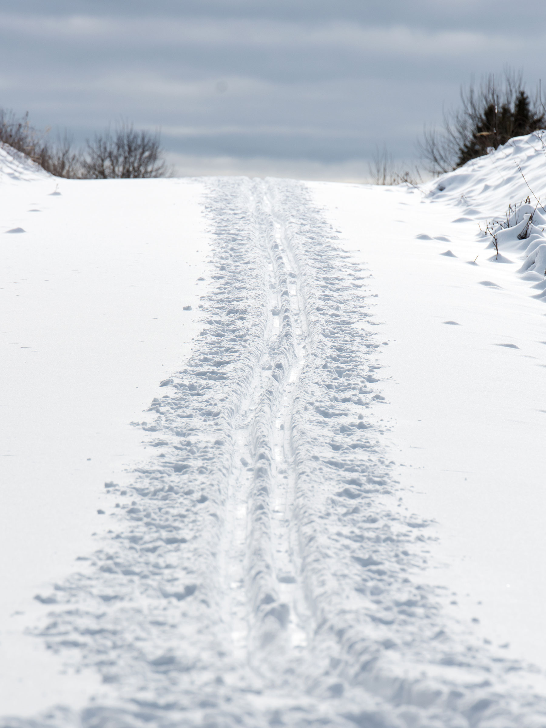 Gespurte Loipen finden man bei ausreichend Schnee im Oberharz vor.